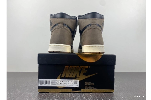 Jordan DZ5485-020 Retro  High Palomino 1  DZ5485-020 OG  0225